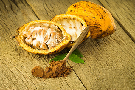 Chocodia Prodia Plus